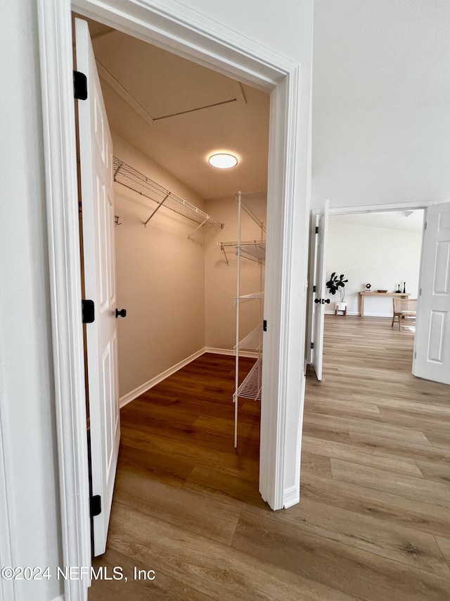 walk in closet with light hardwood / wood-style flooring