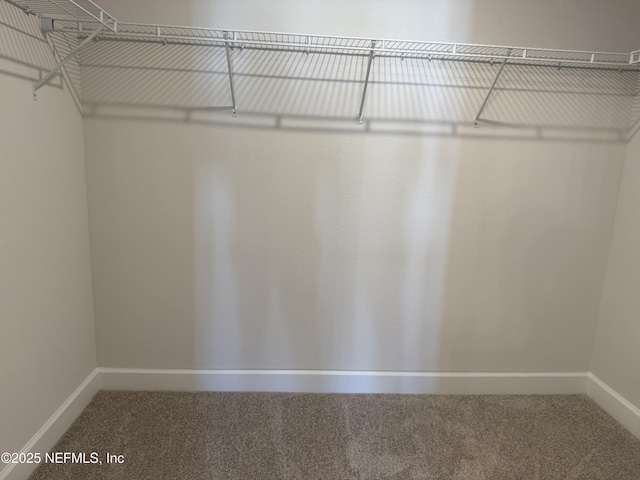 8123 Elsdon St, Jacksonville, FL 32219 - photo 12