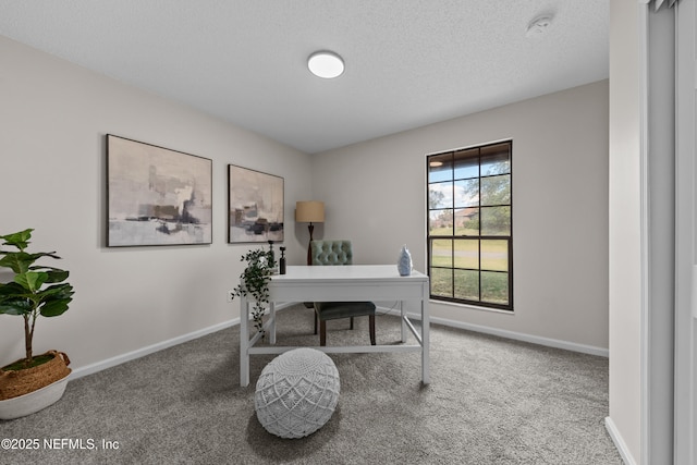 office space with a textured ceiling and carpet flooring