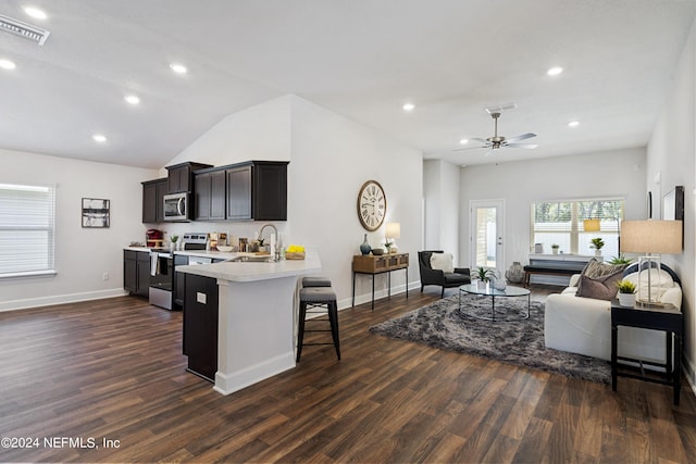 kitchen with dark wood-type flooring, appliances with stainless steel finishes, a kitchen breakfast bar, and sink