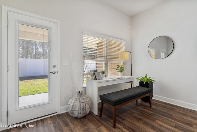 interior space featuring dark wood-type flooring and a wealth of natural light