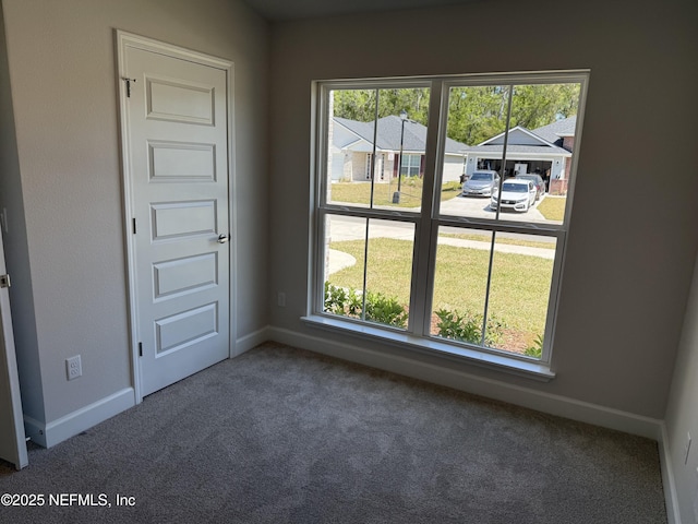 8284 Helmsley Blvd, Jacksonville, FL 32219 - carpeted empty room with a wealth of natural light and baseboards