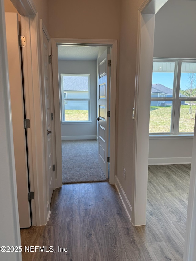 8284 Helmsley Blvd, Jacksonville, FL 32219 - hallway featuring a wealth of natural light, baseboards, and wood finished floors