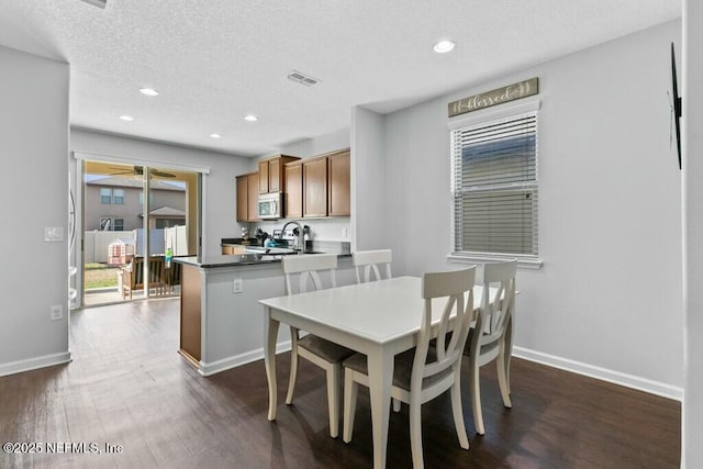 dining space with ceiling fan, sink, a textured ceiling, and dark hardwood / wood-style flooring