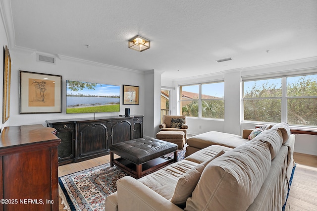 living room with ornamental molding, light hardwood / wood-style flooring, and a textured ceiling