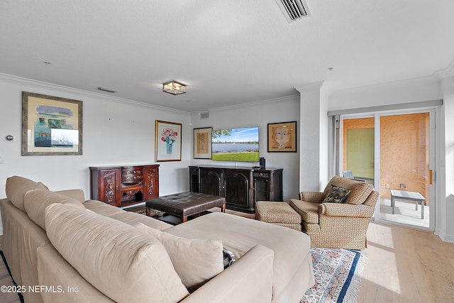 living room featuring ornamental molding, a textured ceiling, and light wood-type flooring