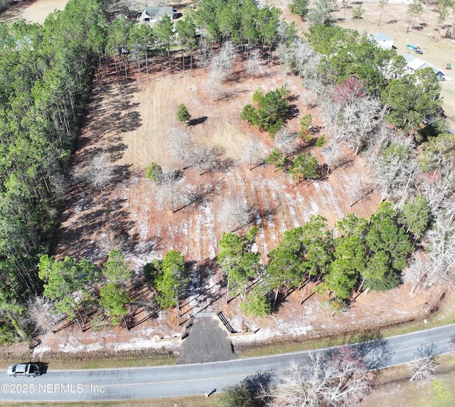 Listing photo 2 for 0 Sheared Stokes Rd, Hilliard FL 32046