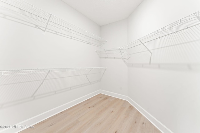 walk in closet featuring hardwood / wood-style flooring