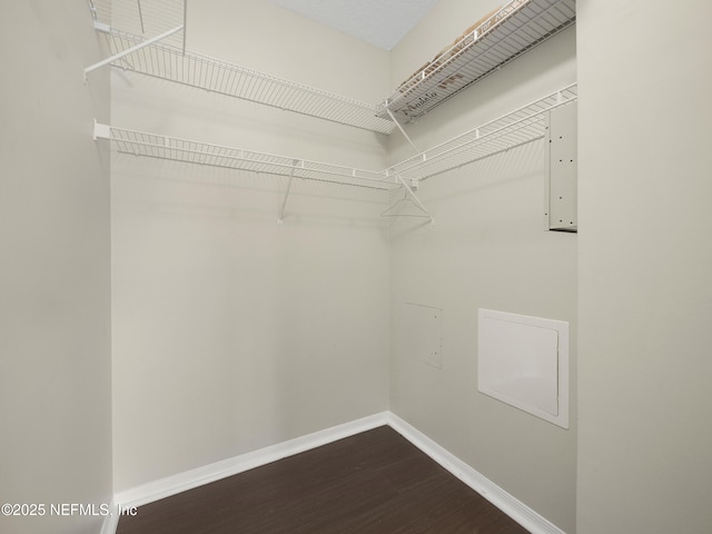 spacious closet featuring dark wood finished floors