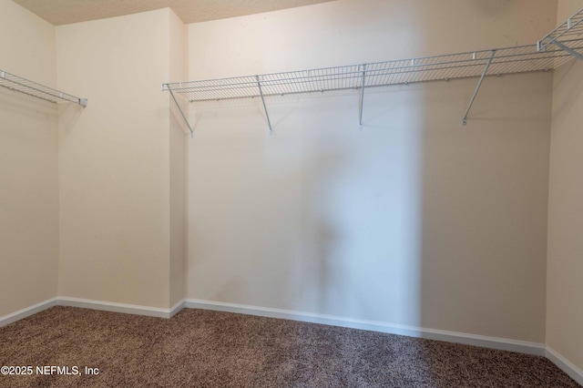 spacious closet with carpet