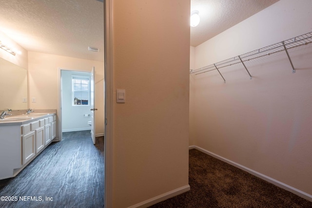 spacious closet featuring sink