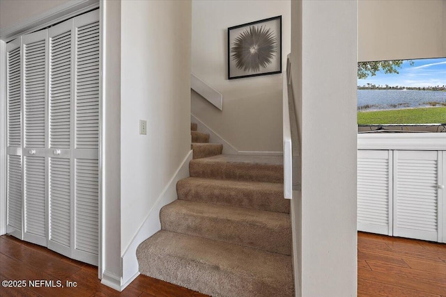 stairway with hardwood / wood-style floors