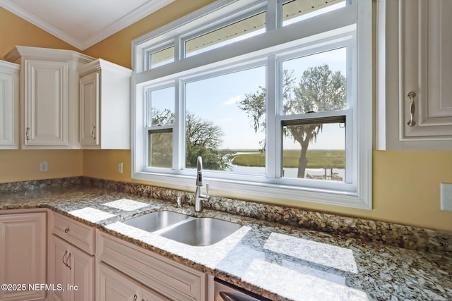 94202 Christopher Ln, Fernandina Beach, FL 32034 - kitchen featuring sink, ornamental molding, and light stone countertops