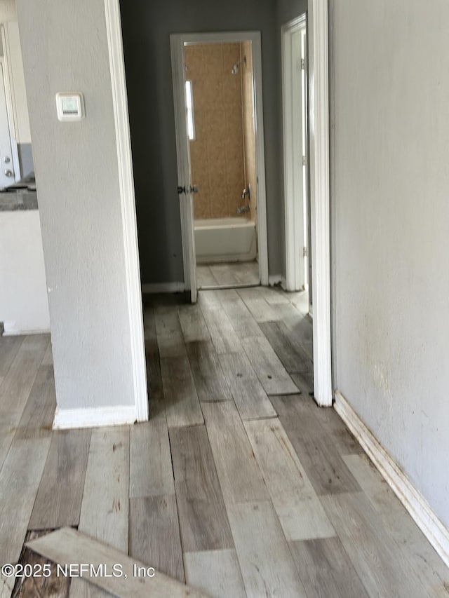 hallway featuring light hardwood / wood-style flooring