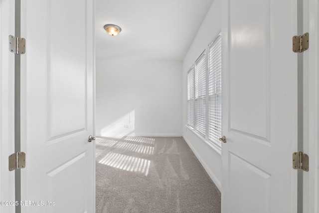 interior space with carpet floors