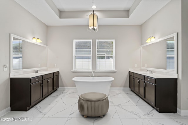 bathroom featuring a raised ceiling, vanity, and a washtub