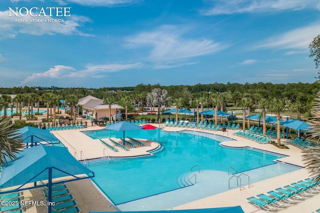 293 Cape May Ave, Ponte Vedra, FL 32081 - photo 87