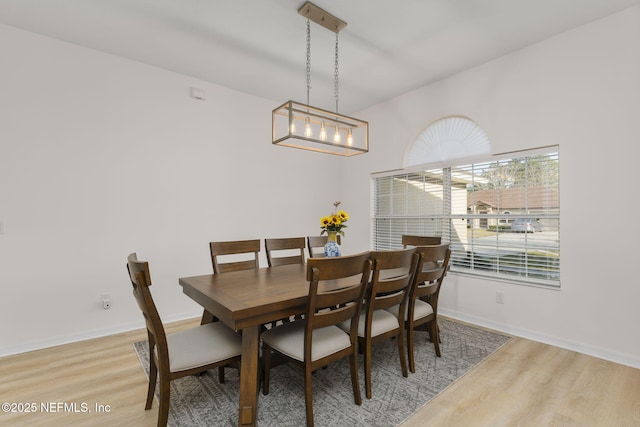 dining area featuring hardwood / wood-style floors