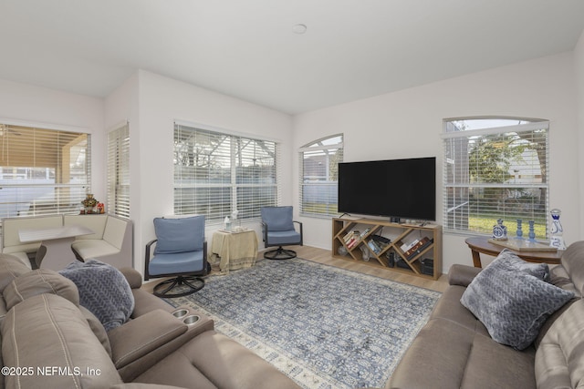 living room with hardwood / wood-style flooring