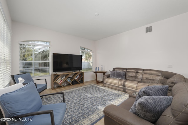 living room featuring wood-type flooring