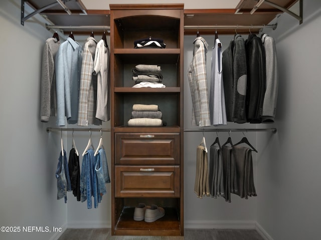 view of walk in closet