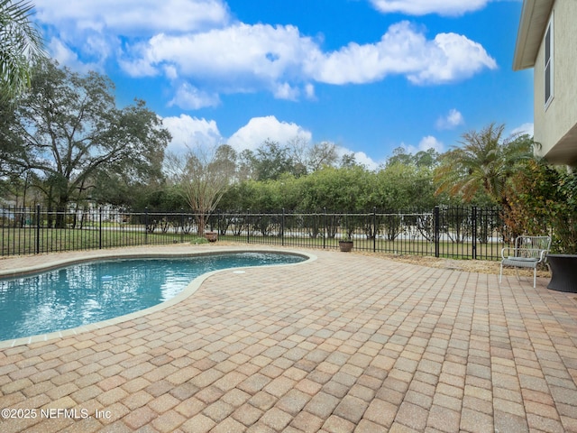 view of pool with a patio