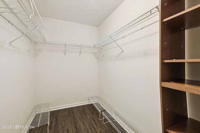 walk in closet with hardwood / wood-style flooring