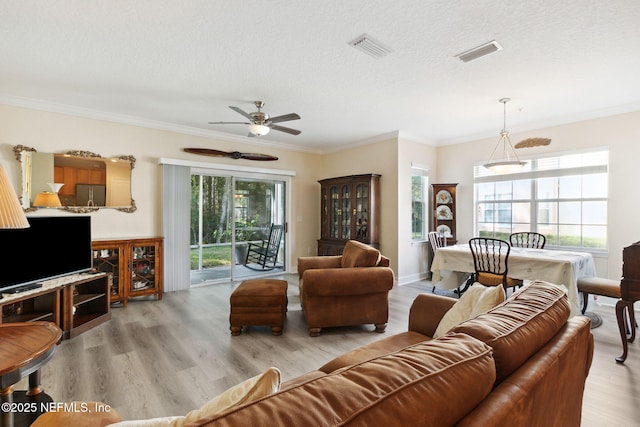 living room with crown molding, a wealth of natural light, and light hardwood / wood-style floors