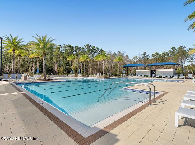 view of swimming pool with a patio area