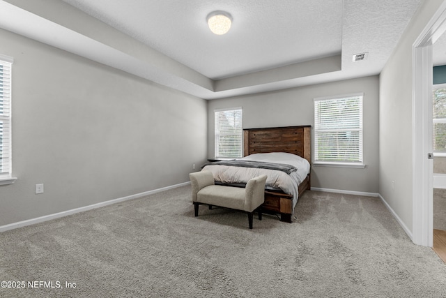 carpeted bedroom featuring a tray ceiling and a textured ceiling