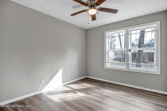 empty room featuring ceiling fan and light hardwood / wood-style flooring