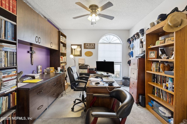 744 Cherry Grove Rd, Orange Park, FL 32073 - carpeted office space with ceiling fan, a textured ceiling, and a healthy amount of sunlight