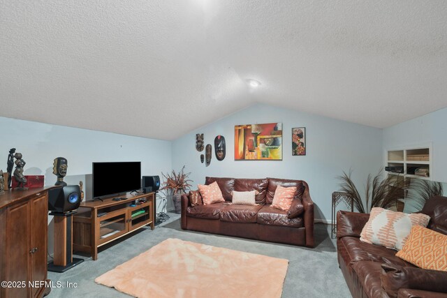744 Cherry Grove Rd, Orange Park, FL 32073 - carpeted living room with vaulted ceiling and a textured ceiling