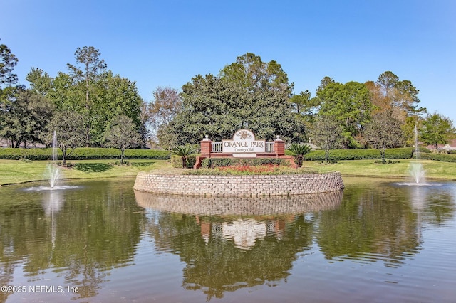 744 Cherry Grove Rd, Orange Park, FL 32073 - surrounding community with a water view