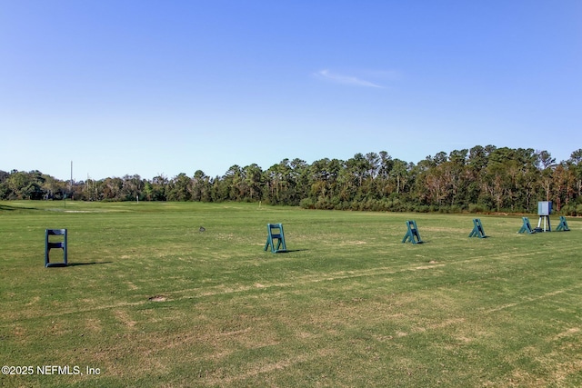 744 Cherry Grove Rd, Orange Park, FL 32073 - surrounding community with a lawn