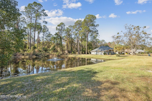 dock area featuring a lawn and a water view