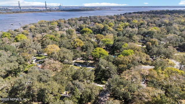 bird's eye view with a wooded view