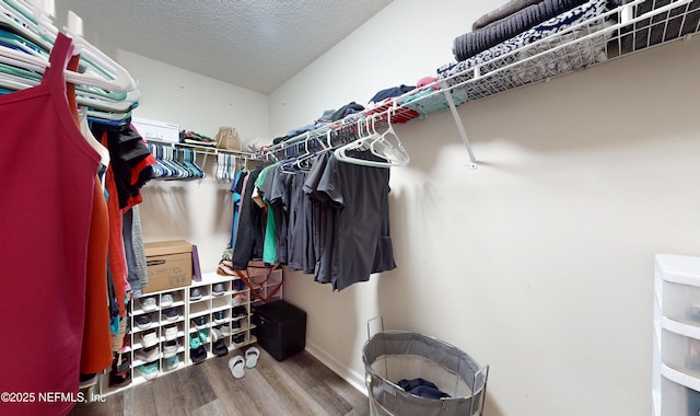 spacious closet with wood-type flooring