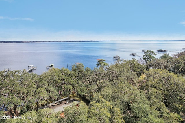 property view of water