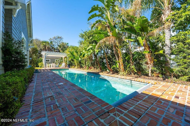 view of pool featuring a pergola and a patio area