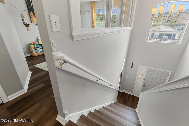 stairway with hardwood / wood-style floors