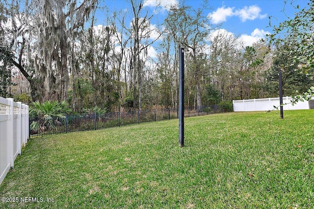 721 W Kings College Dr, Saint Johns, FL 32259 - view of yard