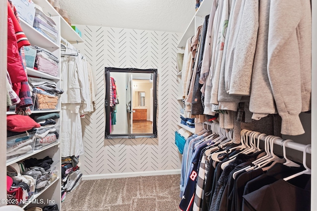 spacious closet featuring carpet floors