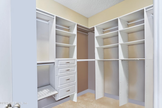 spacious closet with light carpet