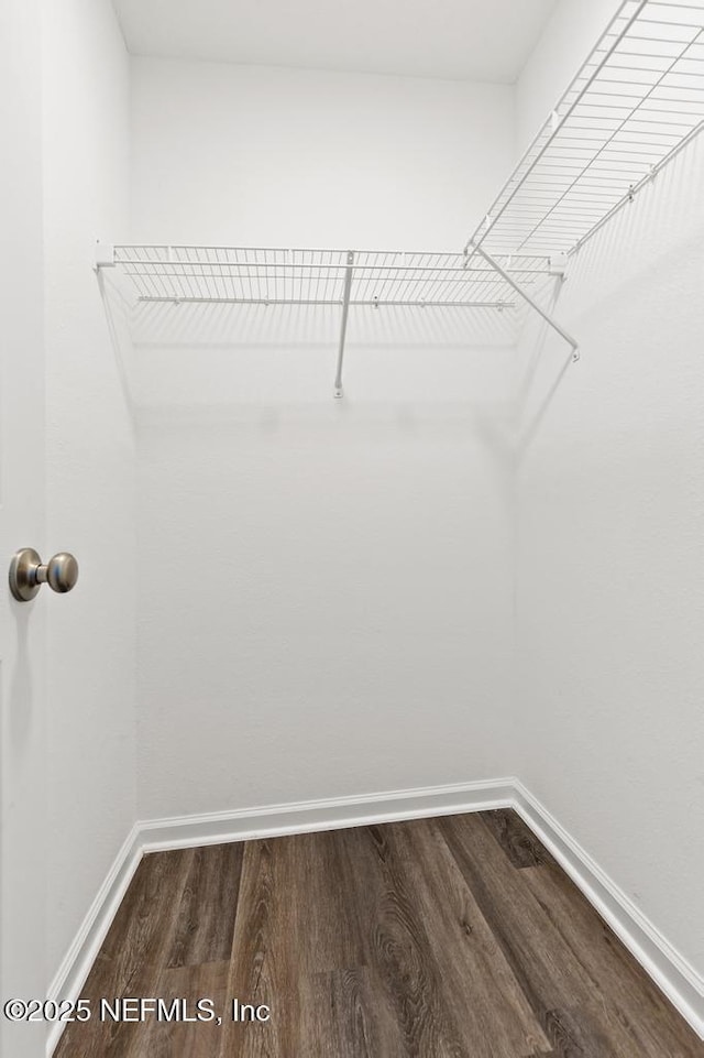 walk in closet featuring wood-type flooring