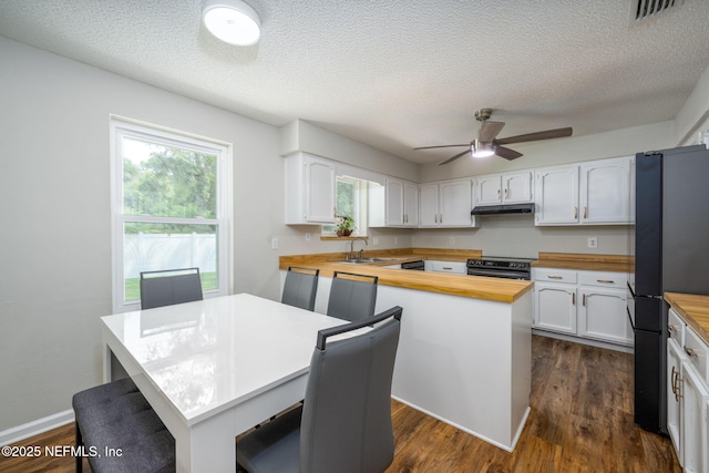 kitchen with electric range oven, a kitchen island, wooden counters, and refrigerator