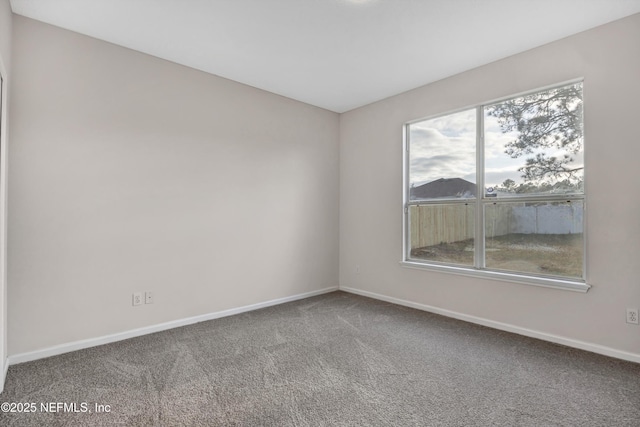 222 Dover Bluff Dr, Orange Park, FL 32073 - photo 9