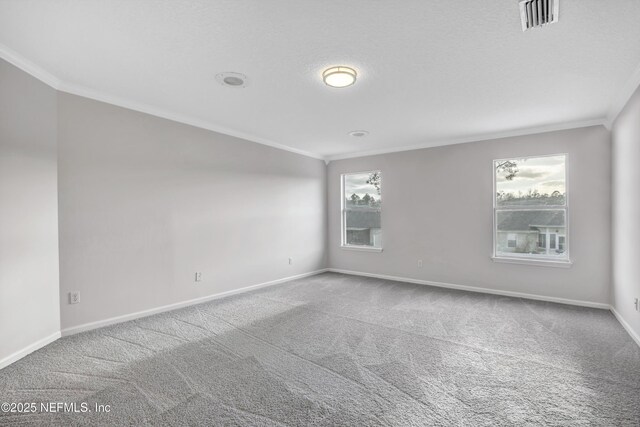 222 Dover Bluff Dr, Orange Park, FL 32073 - photo 29