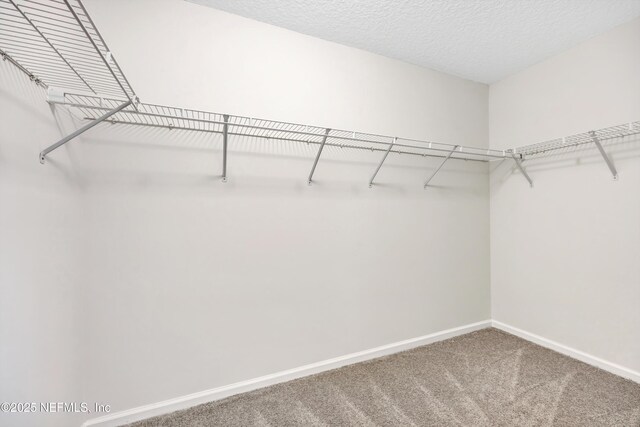 222 Dover Bluff Dr, Orange Park, FL 32073 - photo 32