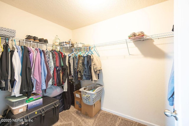 spacious closet featuring carpet flooring